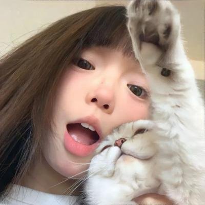 安德鲁克里斯和狮子